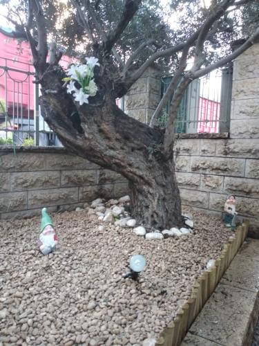 חיפוי בחלוקי נחל וגדר במבוק